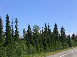 226alaska.jpg