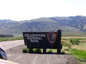 343yellowstone.jpg