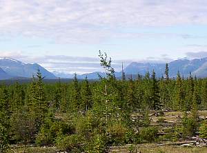 alaskanhwy4.jpg