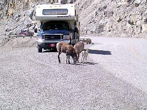 alaska2004120.jpg