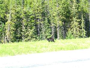 alaska2004124.jpg
