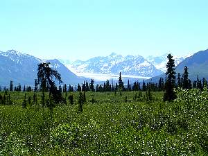 alaska2004144.jpg