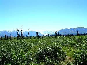 alaska2004145.jpg