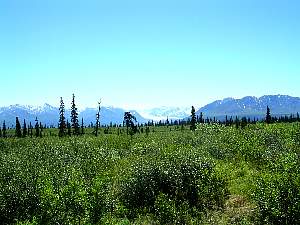 alaska2004145.jpg