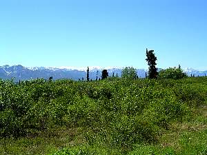 alaska2004146.jpg