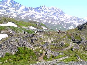 alaska2004172.jpg