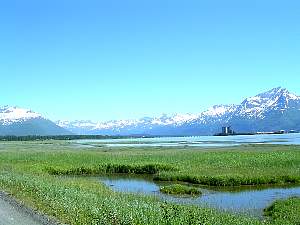 alaska2004179.jpg