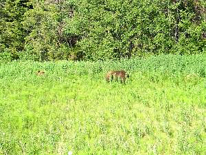 img0609.jpg