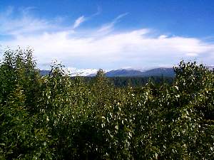 091.mt.mckinleyinbackground.jpg