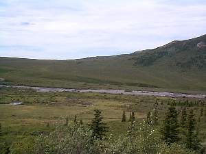 094.twocaribouinstream.jpg