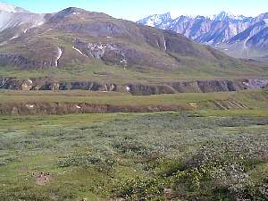 115.denali.jpg