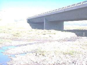 129.caribouinshadowunderfarendofbridge.jpg