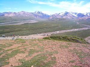 136.denali.jpg