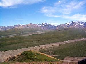 138.denali.jpg