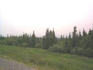 209.1yukonforestfire.jpg