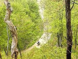 rider1.jpg